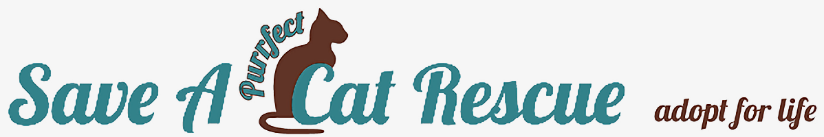 Save A Purrfect Cat Rescue
