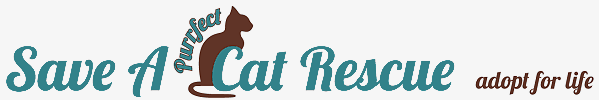 Save A Purrfect Cat Rescue